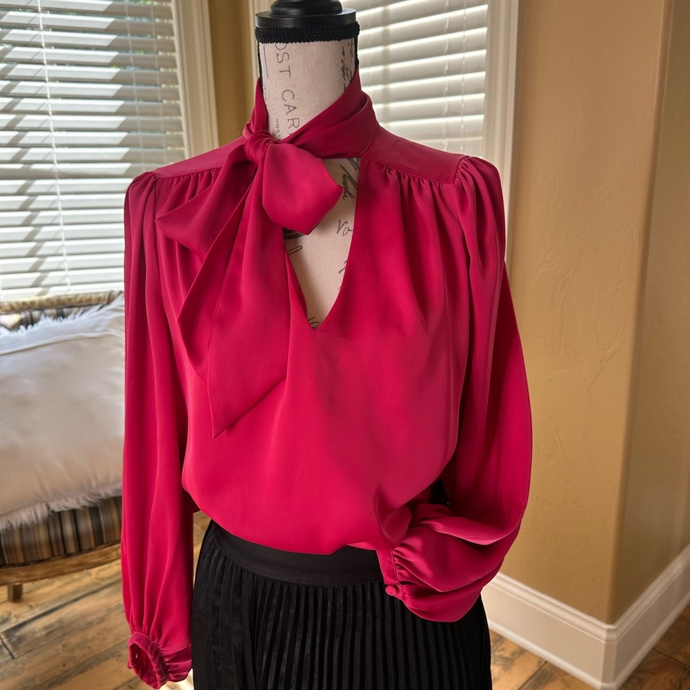 Banana Republic Vibrant Pink Blouse with Neck Tie